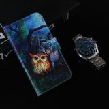 Peňaženkové 3D kožené puzdro na iPhone 11 Pro Max - Painting Owl