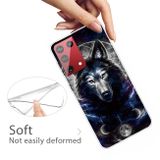 Gumený kryt Painted na Samsung Galaxy S21 Ultra 5G - Magic Wolf