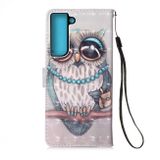 Peňaženkové 3D puzdro PAINTING na Samsung Galaxy S22 Plus 5G - Owl