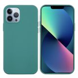 Gumený kryt SILICONE na iPhone 14 Pro - Pine Needle Green