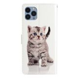 Peňaženkové kožené puzdro DRAWING na iPhone 15 Pro Max - Little Tabby Cat